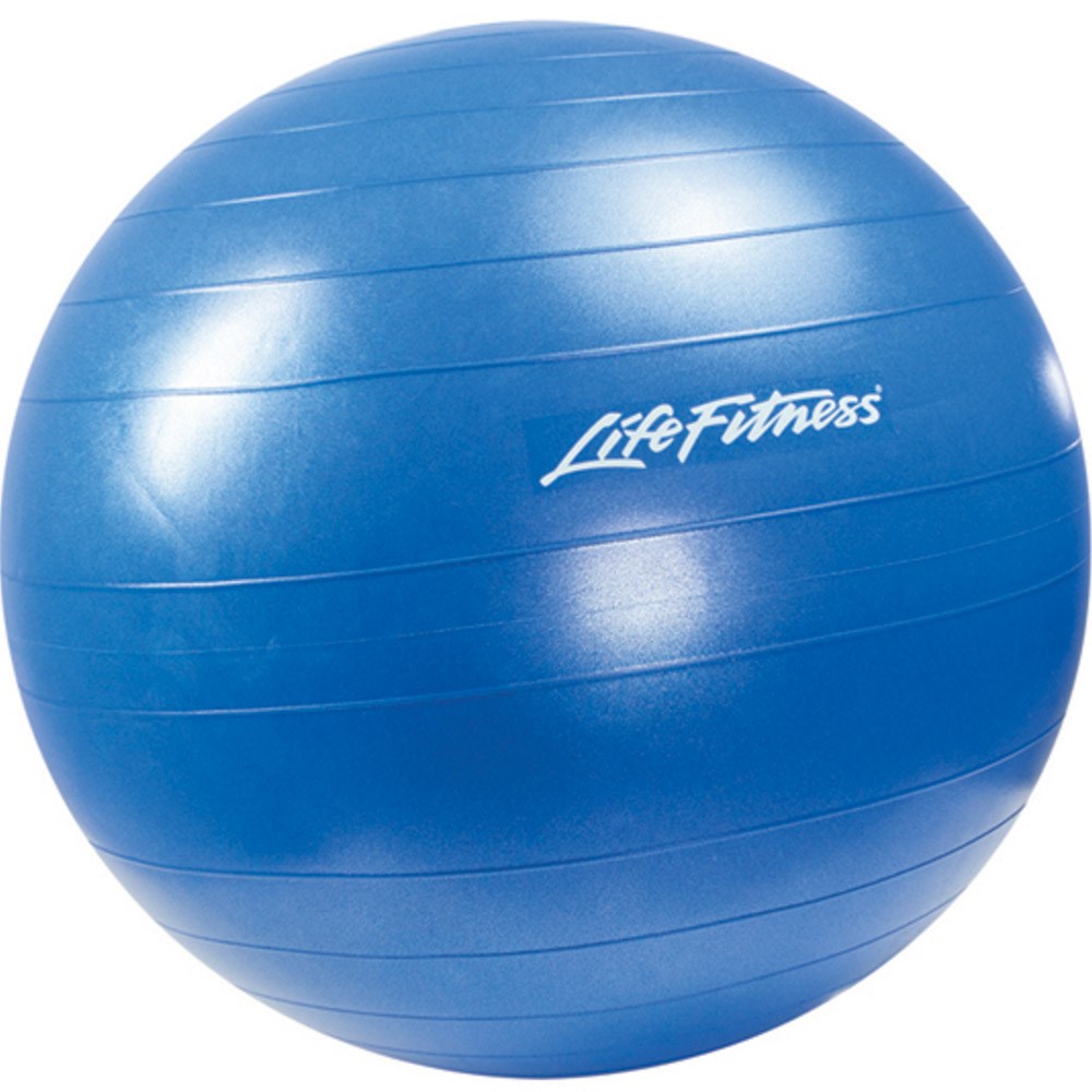Stability Ball Blue 65cm L